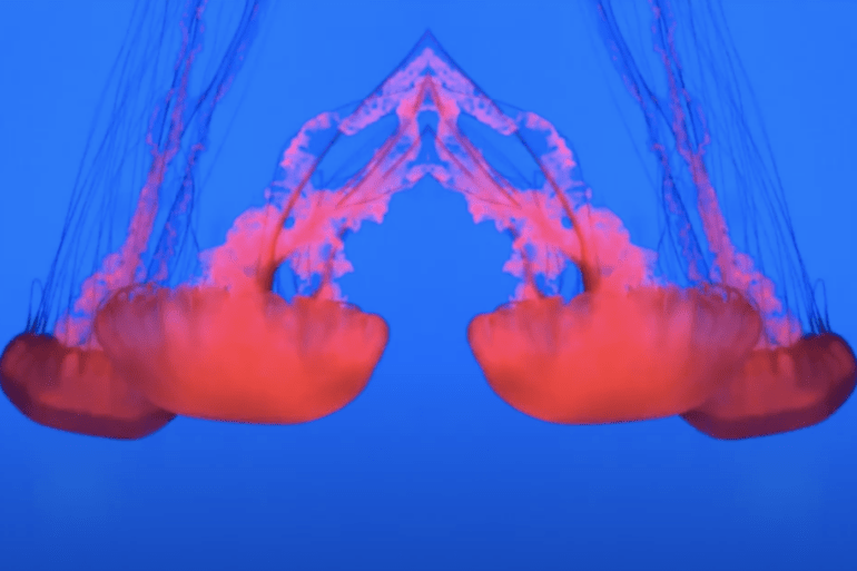 Awakening music Video